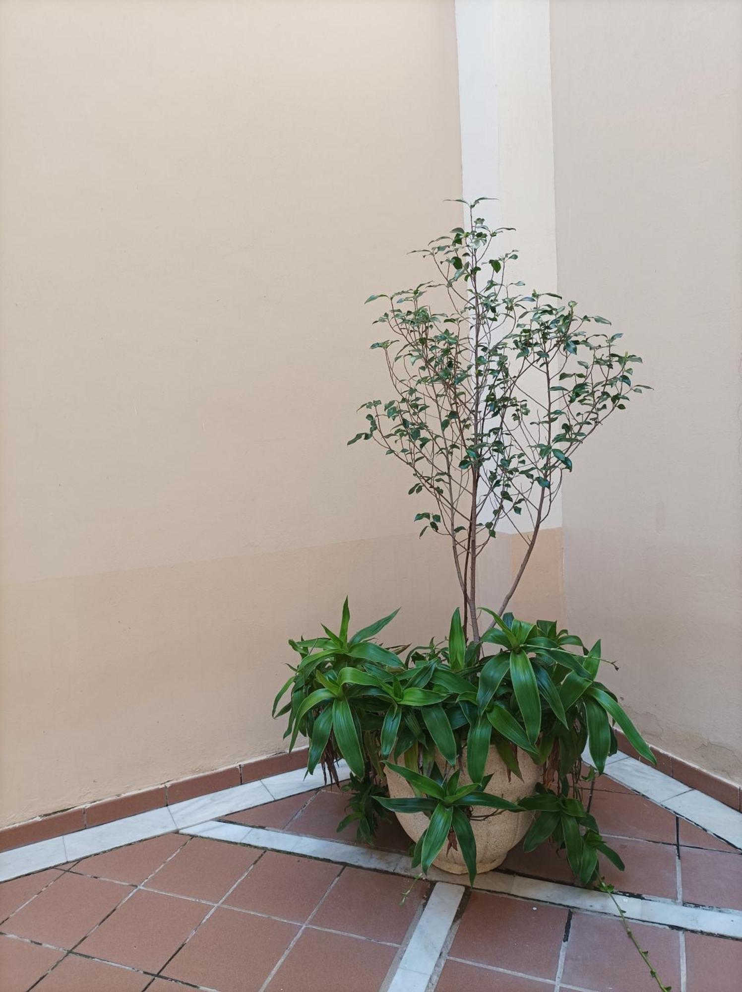 De Lux Apartament Sewilla